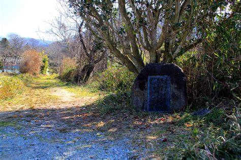 三諸山|三輪山（桜井市 三輪）